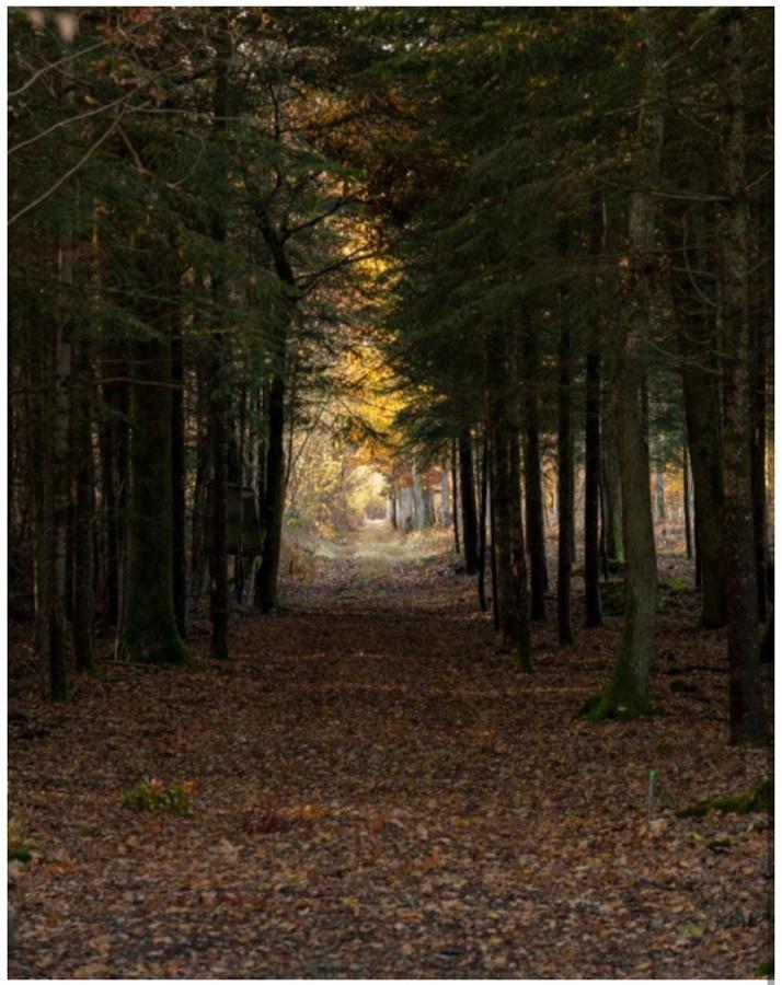 les chatelliers Bouzy-la-Foret Extérieur photo