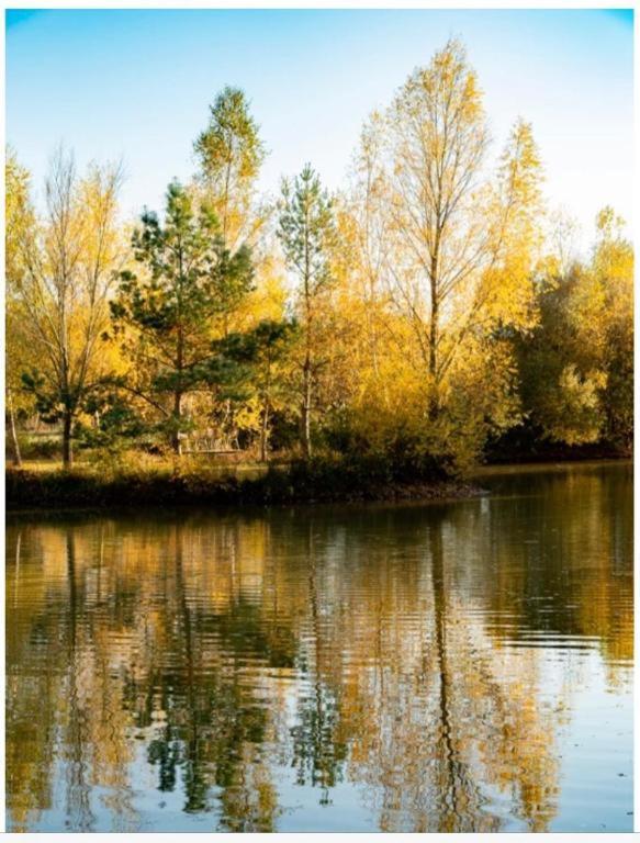 les chatelliers Bouzy-la-Foret Extérieur photo